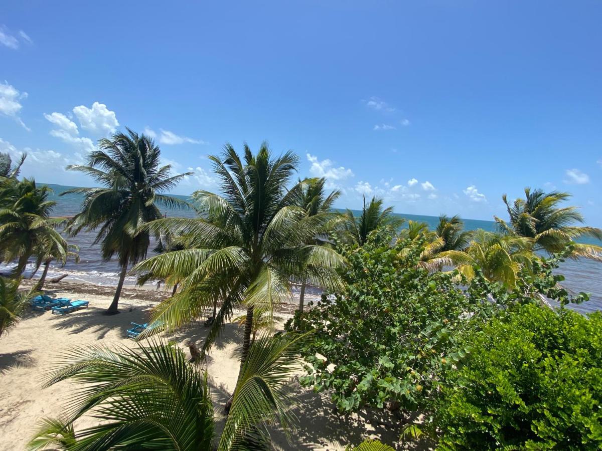 Tranquility Beach Suites Placencia ภายนอก รูปภาพ